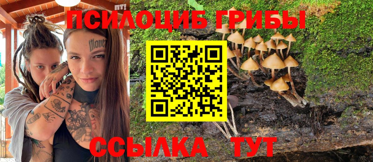 Галлюциногенные грибы Cubensis Гудермес