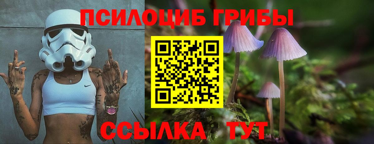 Гудермес  Псилоцибиновые грибы Magic Shrooms  Вход с VPN  Галлюциногенные грибы Magic Shrooms 